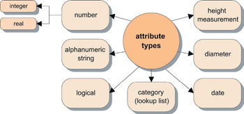 Database structure diagram